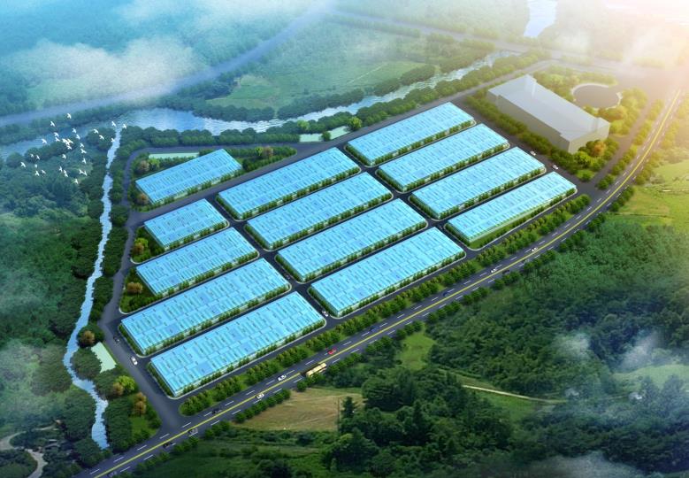 重慶智能溫室大棚建立前留意事項有哪些